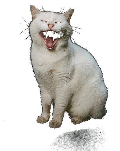 Yawn