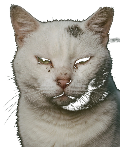 Face